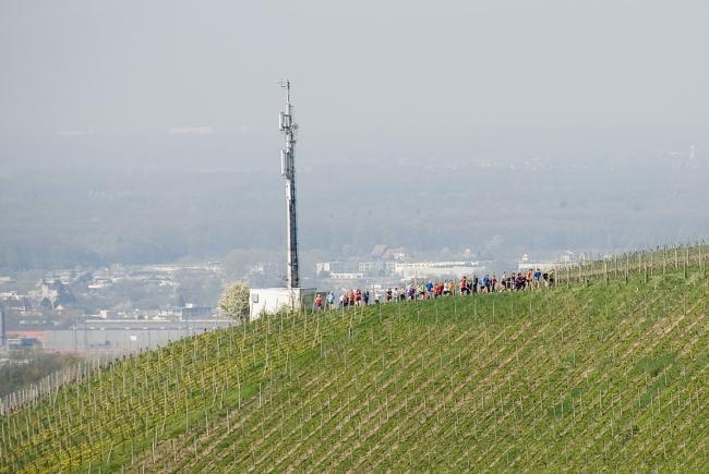 Bild »DSC_0536.jpg« aus der Galerie »Achims Frühlingslauf«