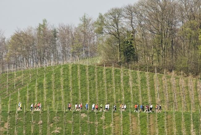 Bild »DSC_0537.jpg« aus der Galerie »Achims Frühlingslauf«