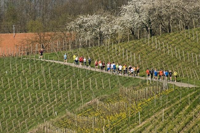 Bild »DSC_0540.jpg« aus der Galerie »Achims Frühlingslauf«