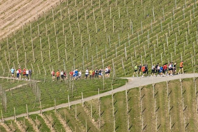 Bild »DSC_0545.jpg« aus der Galerie »Achims Frühlingslauf«