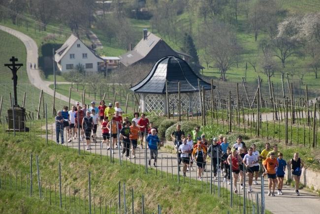 Bild »DSC_0560.jpg« aus der Galerie »Achims Frühlingslauf«