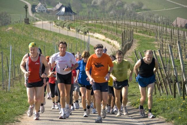 Bild »DSC_0566.jpg« aus der Galerie »Achims Frühlingslauf«