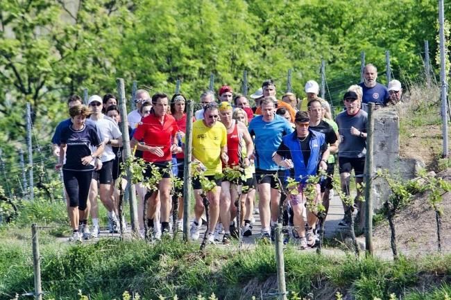 Bild »DSC_0340.jpg« aus der Galerie »Achims Frühlingslauf«