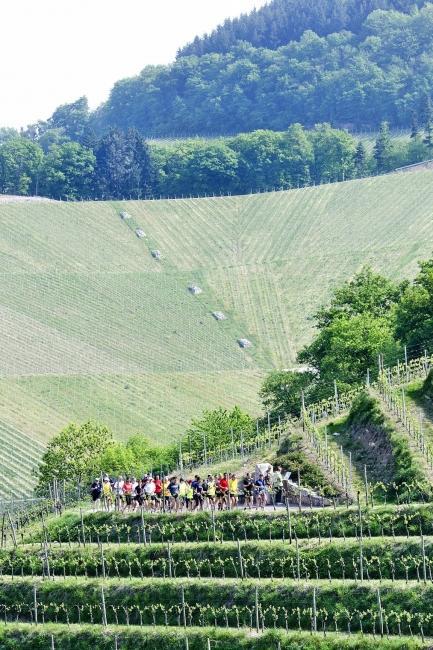 Bild »DSC_0341.jpg« aus der Galerie »Achims Frühlingslauf«