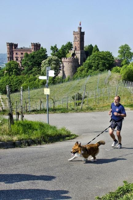 Bild »DSC_0369.jpg« aus der Galerie »Achims Frühlingslauf«