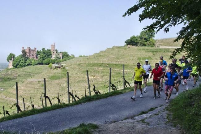 Bild »DSC_0376.jpg« aus der Galerie »Achims Frühlingslauf«