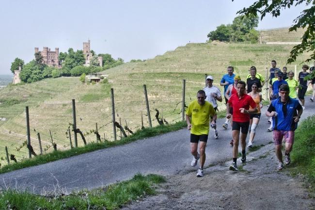 Bild »DSC_0377.jpg« aus der Galerie »Achims Frühlingslauf«