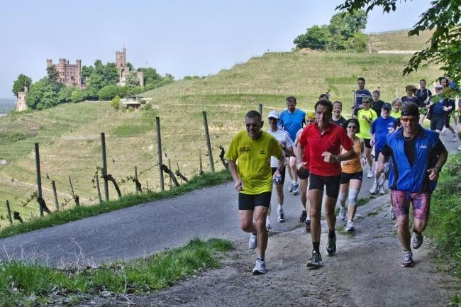 Bild »DSC_0378.jpg« aus der Galerie »Achims Frühlingslauf«