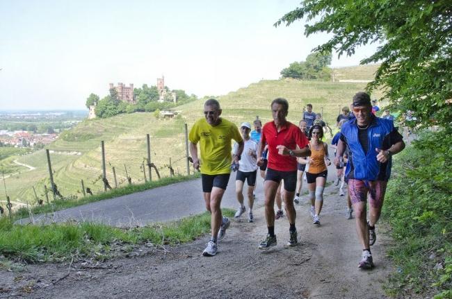 Bild »DSC_0379.jpg« aus der Galerie »Achims Frühlingslauf«