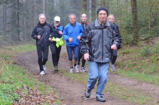 Bild »DSC_6436.JPG« aus der Galerie »Achims Frühlingslauf«