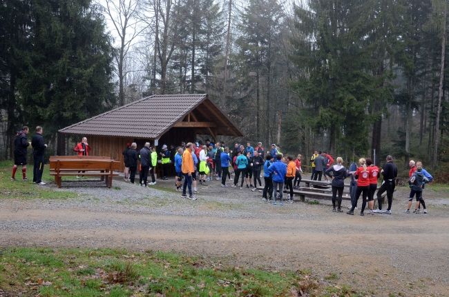 Bild »DSC_6462.JPG« aus der Galerie »Achims Frühlingslauf«