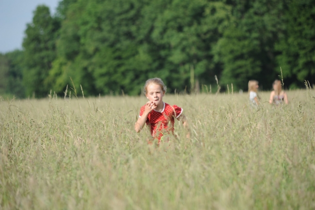 Bild »DSA_3840.JPG« aus der Galerie »LFV Jugend: Grillfest«