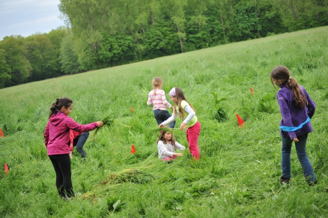 Bild »DSA_2297.JPG« aus der Galerie »LFV Jugend: Grillfest«