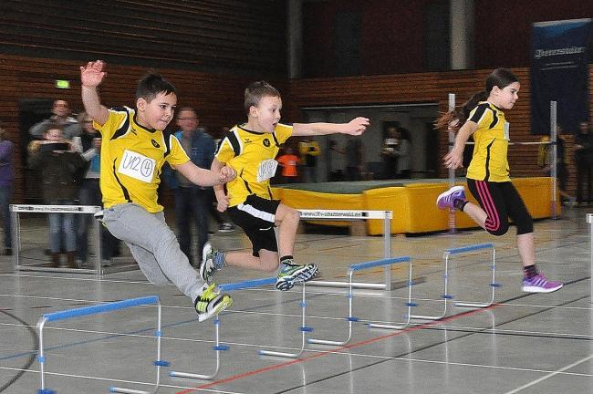 Bild »DSC_0037.jpg« aus der Galerie »Hallensportfest«