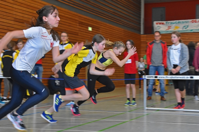 Bild »GAB_0386.jpg« aus der Galerie »Hallensportfest«