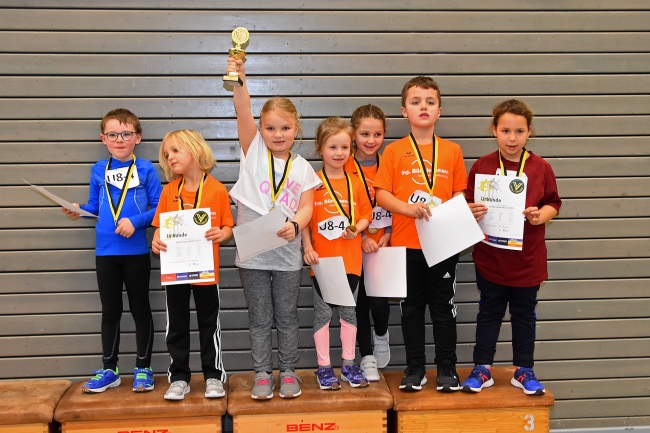 Bild »GAB_0493.jpg« aus der Galerie »Hallensportfest«