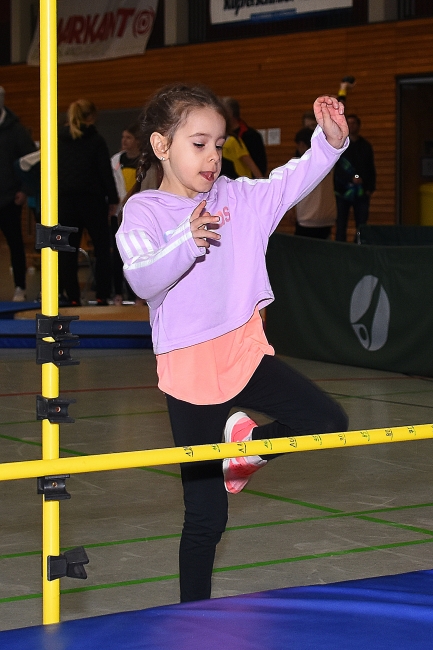 Bild »GAB_6990.jpg« aus der Galerie »Hallensportfest«