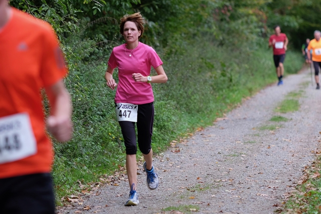 Bild »DSCF2036_hp.jpg« aus der Galerie »Herbstlauf«