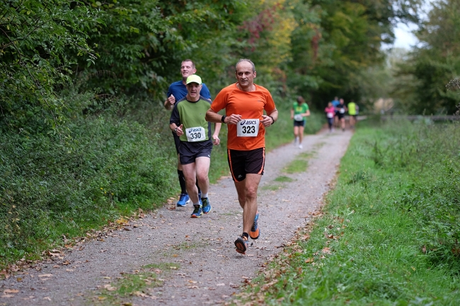 Bild »DSCF2063_hp.jpg« aus der Galerie »Herbstlauf«