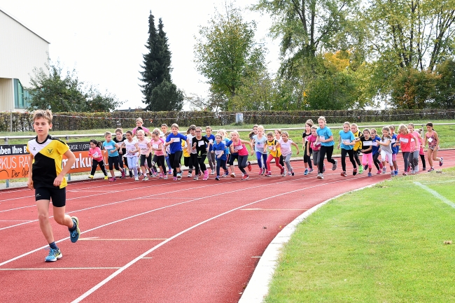 Bild »GAB_9495.jpg« aus der Galerie »Herbstlauf«