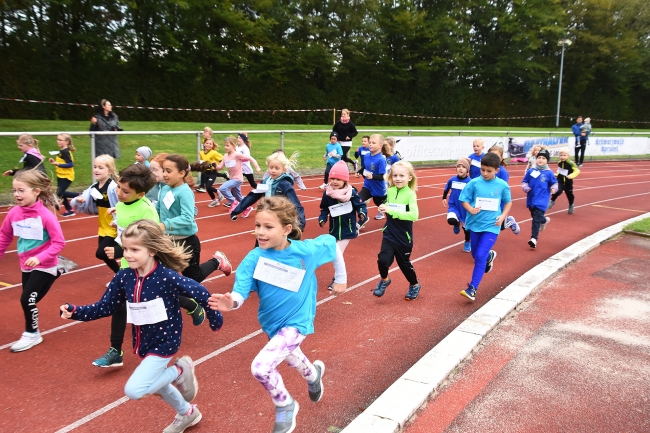 Bild »GAB_2769.jpg« aus der Galerie »Herbstlauf am 12. Oktober 2024«