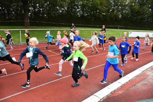 Bild »GAB_2772.jpg« aus der Galerie »Herbstlauf am 12. Oktober 2024«