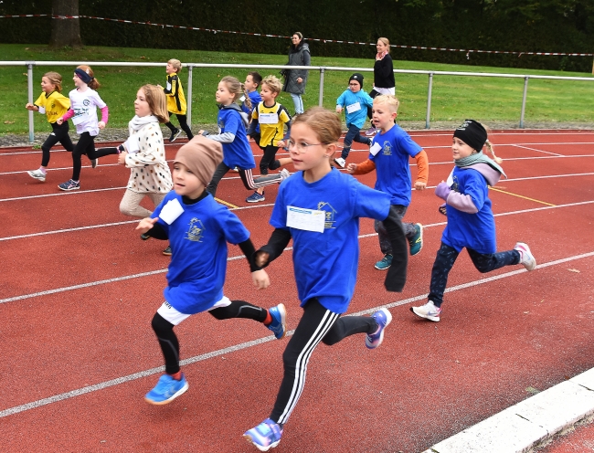 Bild »GAB_2775.jpg« aus der Galerie »Herbstlauf am 12. Oktober 2024«