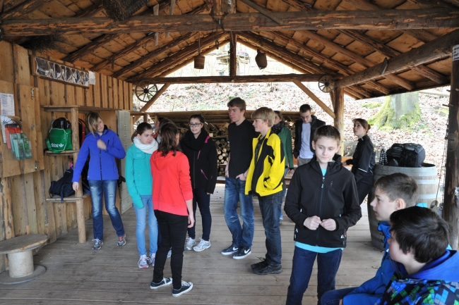 Bild »DSA_1078.JPG« aus der Galerie »LFV Jugend: Klettergarten Kenzingen«