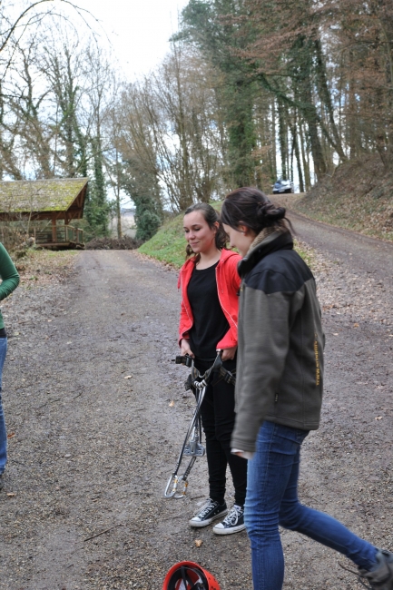 Bild »DSA_1084.JPG« aus der Galerie »LFV Jugend: Klettergarten Kenzingen«