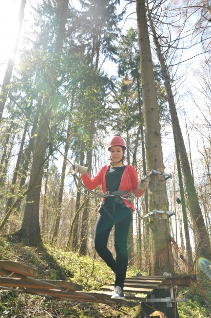 Bild »DSA_1125.JPG« aus der Galerie »LFV Jugend: Klettergarten Kenzingen«