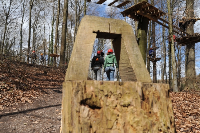 Bild »DSA_1183.JPG« aus der Galerie »LFV Jugend: Klettergarten Kenzingen«