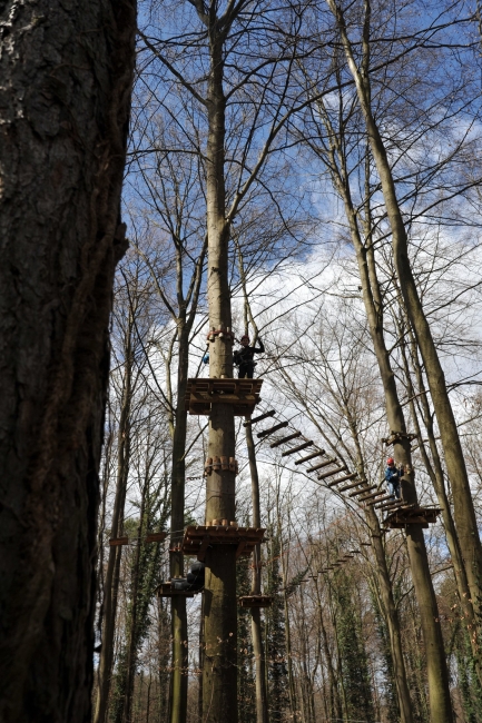 Bild »DSA_1193.JPG« aus der Galerie »LFV Jugend: Klettergarten Kenzingen«