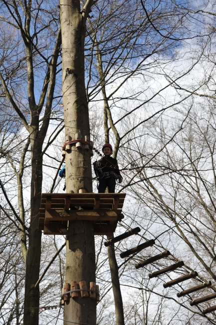 Bild »DSA_1194.JPG« aus der Galerie »LFV Jugend: Klettergarten Kenzingen«