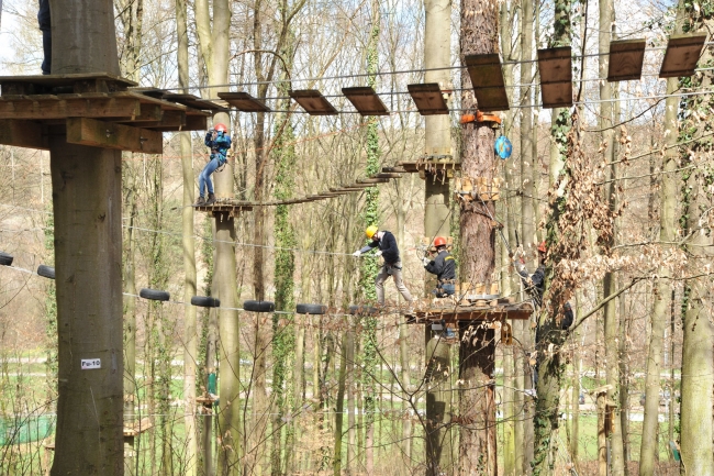 Bild »DSA_1222.JPG« aus der Galerie »LFV Jugend: Klettergarten Kenzingen«