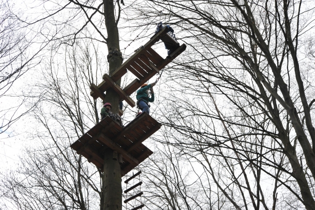 Bild »DSA_1434.JPG« aus der Galerie »LFV Jugend: Klettergarten Kenzingen«