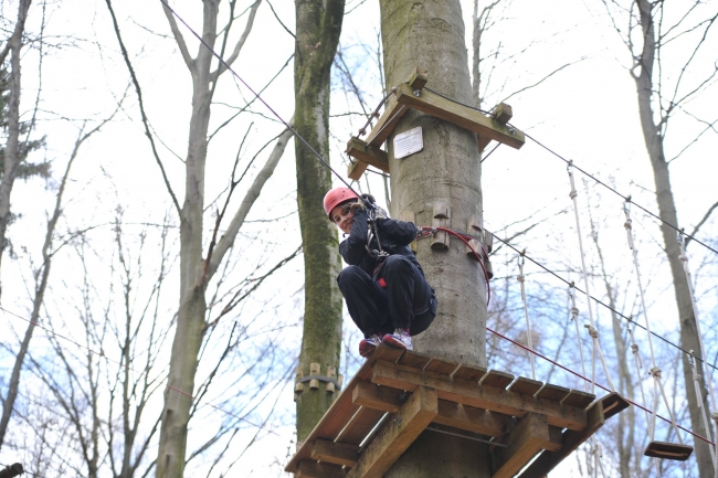 Bild »DSA_1451.JPG« aus der Galerie »LFV Jugend: Klettergarten Kenzingen«