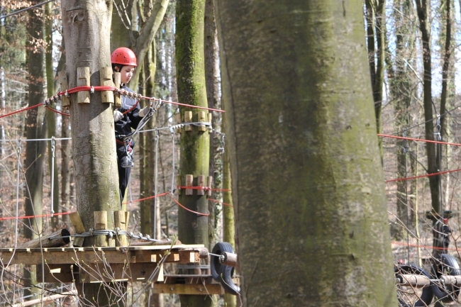 Bild »DSA_1556.JPG« aus der Galerie »LFV Jugend: Klettergarten Kenzingen«