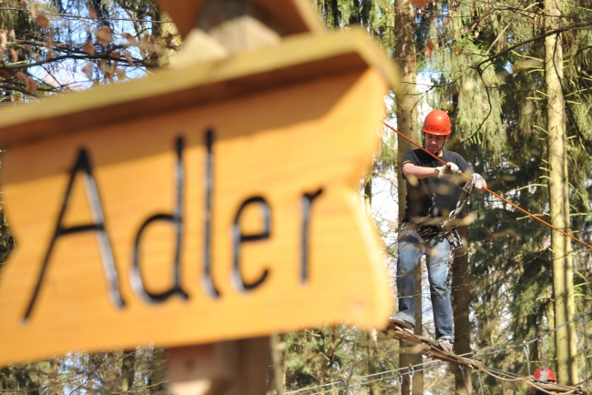 Bild »DSA_1664.JPG« aus der Galerie »LFV Jugend: Klettergarten Kenzingen«