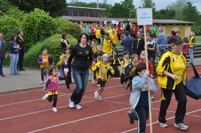 Bild »DSC_0002.jpg« aus der Galerie »Kindermehrkämpfe um den Markant-Cup«