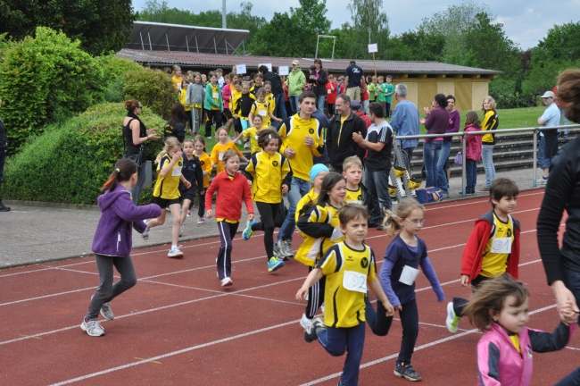 Bild »DSC_0003.jpg« aus der Galerie »Kindermehrkämpfe um den Markant-Cup«