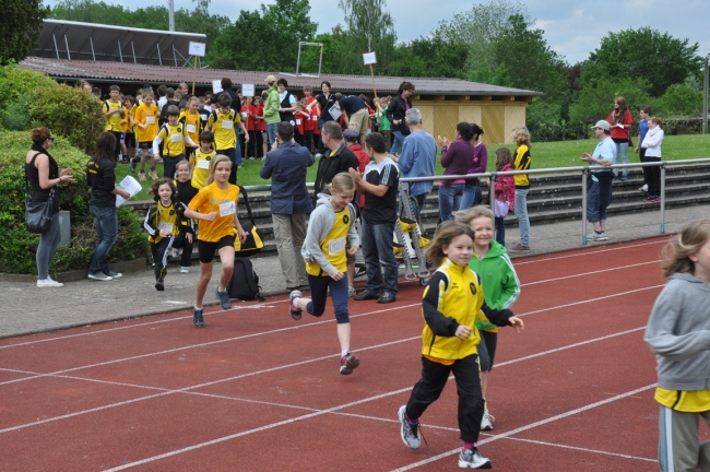 Bild »DSC_0008.jpg« aus der Galerie »Kindermehrkämpfe um den Markant-Cup«