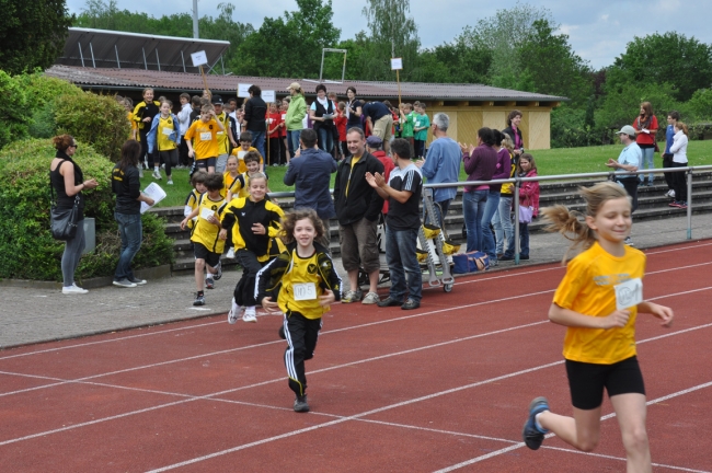 Bild »DSC_0009.jpg« aus der Galerie »Kindermehrkämpfe um den Markant-Cup«