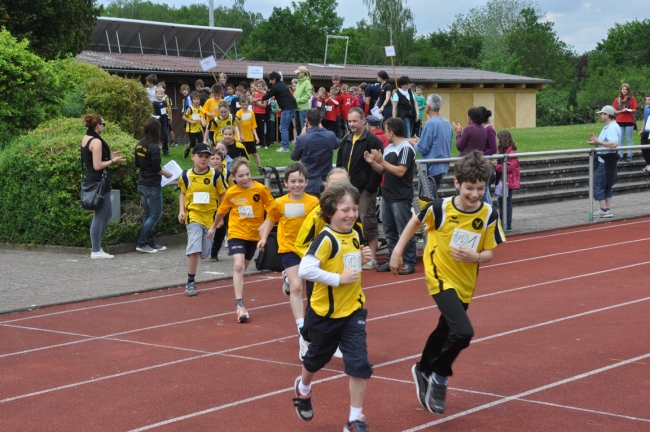 Bild »DSC_0011.jpg« aus der Galerie »Kindermehrkämpfe um den Markant-Cup«