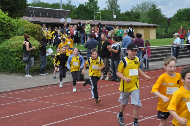 Bild »DSC_0012.jpg« aus der Galerie »Kindermehrkämpfe um den Markant-Cup«