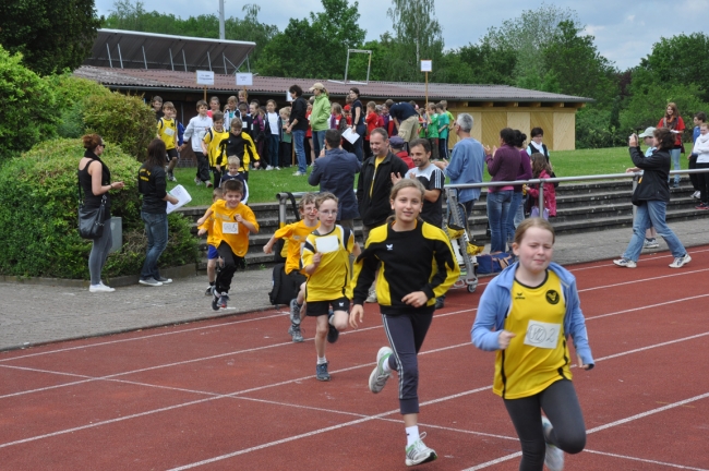 Bild »DSC_0013.jpg« aus der Galerie »Kindermehrkämpfe um den Markant-Cup«