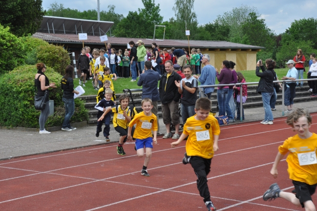 Bild »DSC_0014.jpg« aus der Galerie »Kindermehrkämpfe um den Markant-Cup«