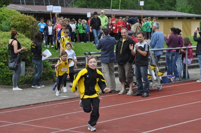 Bild »DSC_0015.jpg« aus der Galerie »Kindermehrkämpfe um den Markant-Cup«