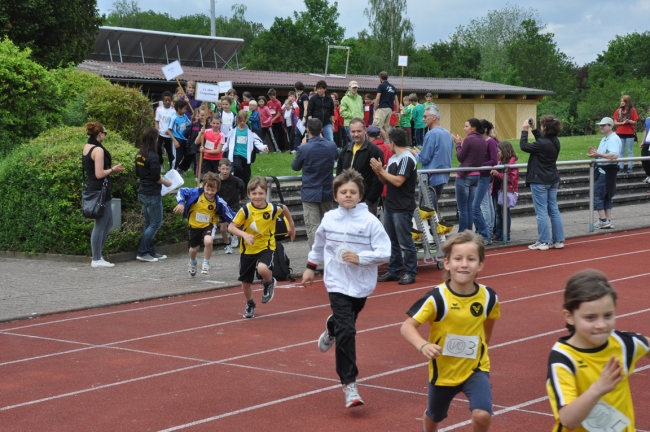 Bild »DSC_0016.jpg« aus der Galerie »Kindermehrkämpfe um den Markant-Cup«