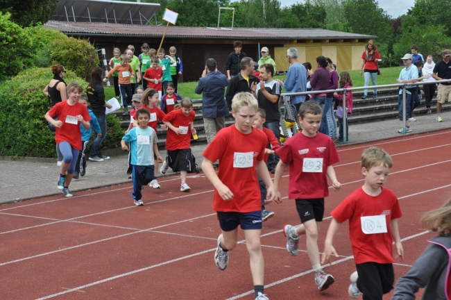 Bild »DSC_0022.jpg« aus der Galerie »Kindermehrkämpfe um den Markant-Cup«