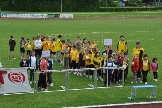 Bild »DSC_0026.jpg« aus der Galerie »Kindermehrkämpfe um den Markant-Cup«